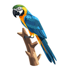 blue and yellow macaw © Gr33n