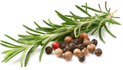 Rosemary with peppercorns isolated on white background, cutout - obrazy, fototapety, plakaty