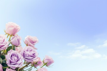 Naklejka na ściany i meble Lilac Roses Flower Border Over a Sky Blue Background With Copy Space. Copy space.