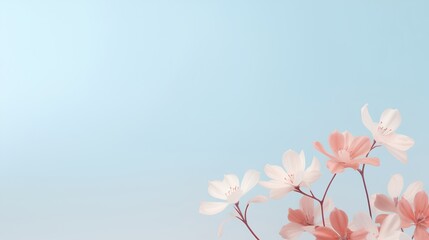 Fototapeta premium A visually soothing abstract background featuring delicate flower petals arranged in a minimalist style with a central empty space for adding text, perfect for serene and aesthetic designs.