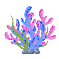 Coral reef and seaweed underwater plant. Aquarium, ocean and undersea decoration isolated on white background. Marine tropical water life. Cartoon vector illustration