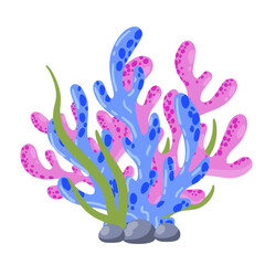 Obraz premium Coral reef and seaweed underwater plant. Aquarium, ocean and undersea decoration isolated on white background. Marine tropical water life. Cartoon vector illustration