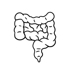 Intestine internal organ. Human pink digestive tract. Medical icon. Illustration isolated on white