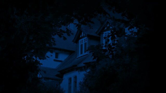 House Framed By Trees Late At Night