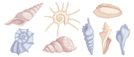 Set of colorful seashells. Vector graphics.