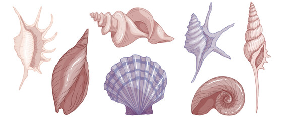 Set of colorful seashells. Vector graphics.