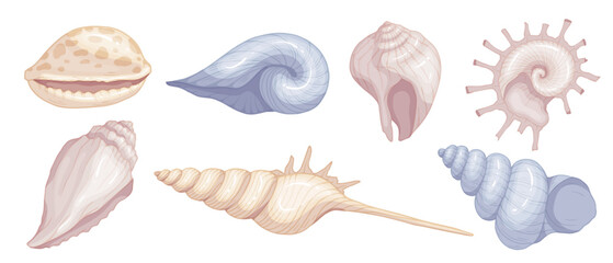 Set of colorful seashells. Vector graphics.