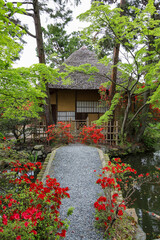 Fototapeta na wymiar 梅宮大社の神苑の風景