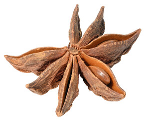 Spice star anise on white isolated background
