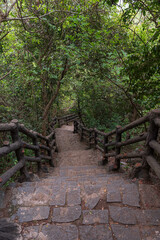 A long series os stone steps, leading down a mopuntain side, with wooden guard rails either side....
