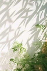 A potted plant placed beside a clean white wall. Suitable for interior design and home decor projects