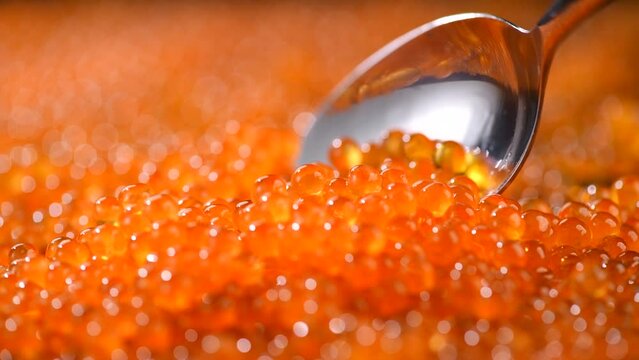 Red Caviar in a spoon, fish roe background. Close-up of salmon fish roe caviar. Delicatessen. Texture of trout caviar. Backdrop. Seafood. 