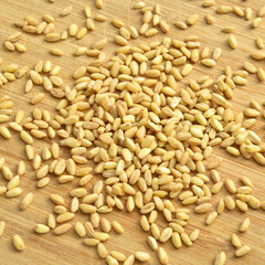 Dry wheat grain on bamboo cutting board, foot background