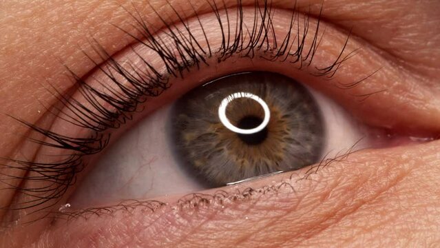 SLOW MOTION: A woman's eye with long black eyelashes after lamination. Closeup, girl's eye opening with long black eyelashes. Close-up of the human eye..
