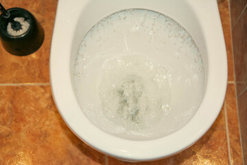 Flushing the Toilet - A Clean and Hygienic Practice for Proper Sanitation and Water Conservation