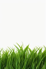 Obraz premium A close-up view of a bunch of green grass. Perfect for nature-themed designs and projects