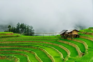 Crédence de cuisine en verre imprimé Mu Cang Chai The terraced rice fields in fog at mu cang chai vietnam