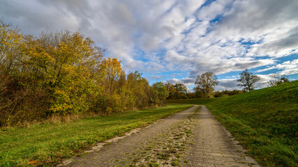 Fototapeta na wymiar Landschaft im Herbst mit Laubbäumen vor bewölktem Himmel