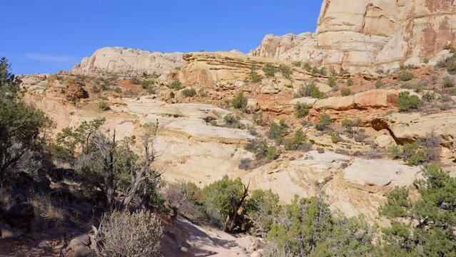 Establishing shot of mountain trail with red rocks background in Hickman Natural Bridge Trail, Capital Reef National Park, Utah, North America. Day time on October 2023. Still camera view. ProRes 422 