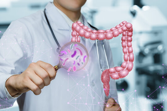 Concept study of intestinal microflora.