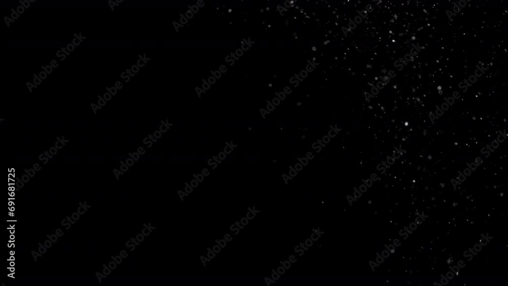 Wall mural dust particles floating on black background. dynamic dust particles randomly float in space. glitter