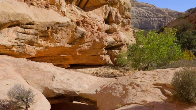 Establishing shot of mountain trail with red rocks background in Hickman Natural Bridge Trail, Capital Reef National Park, Utah, North America. Day time on October 2023. Still camera view. ProRes 422 