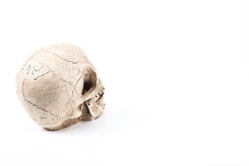 Back View of Skull Decoration on White Background