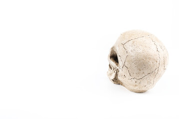 Back View of Skull Decoration on White Background