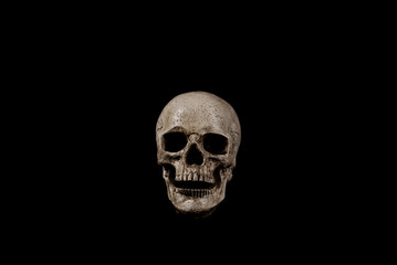 Frontal View of Skull Decoration with Copy Space on Black Background