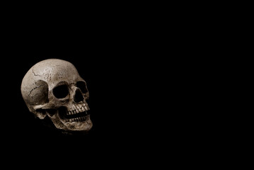 Profile View of Skull Decoration on Black Background
