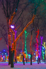 night city park with decorated trees  coverded by a snow