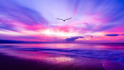 Bird Flying Ocean Sunset Beach Divine Spiritual Heaven Beautiful Ethereal Silhouette 16:9 High...