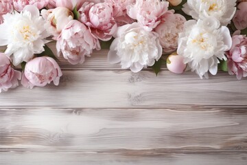Decorative floral backgro, banner made of pink and white peonies flowers