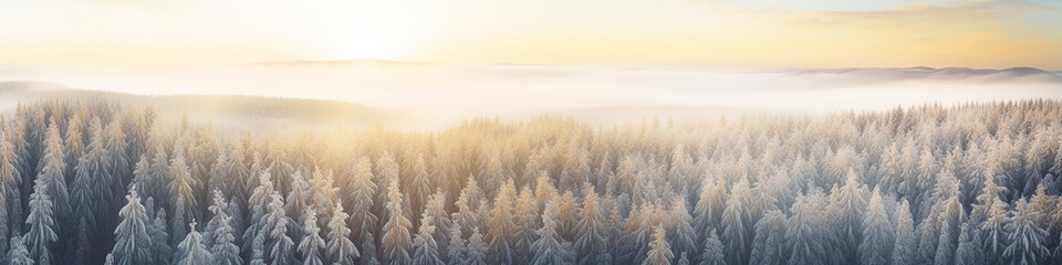 winter panorama from a drone view of a coniferous forest covered with snow, long narrow panoramic...