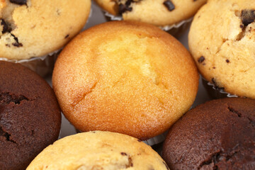 Muffins - 691704509