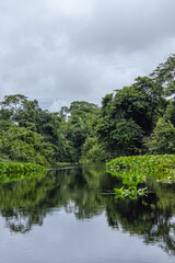 Fototapeta na wymiar paisagem natural na região do pantanal sul, na cidade na Miranda, Estado do Mato Grosso do Sul, Brasil