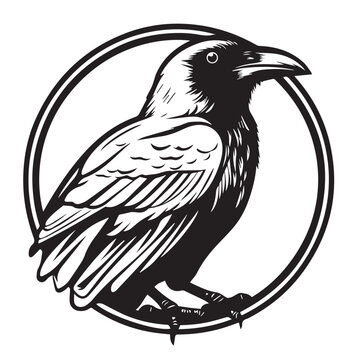recommend clip art: Raven in cartoon, doodle style. Isolated 2d vector illustration in logo, icon, sketch style, Eps 10, black and white. AI Generative