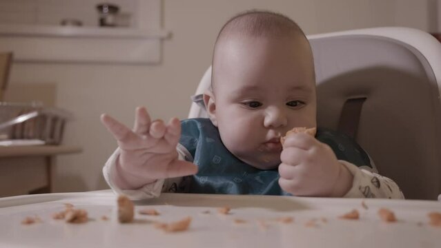 Adorable Baby Eating Salmon for the First Time. First Solid Food, 6 month old. White Caucasian Boy.