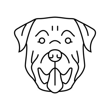 rottweiler dog puppy pet line icon vector. rottweiler dog puppy pet sign. isolated contour symbol black illustration