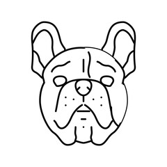 french bulldog dog puppy pet line icon vector. french bulldog dog puppy pet sign. isolated contour symbol black illustration