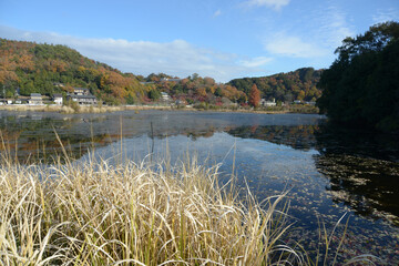 秋の深泥池　京都市北区上賀茂