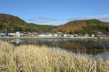秋の深泥池　京都市北区上賀茂