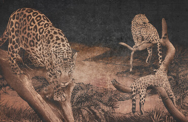 Leopards on a desert at night vintage wallpaper