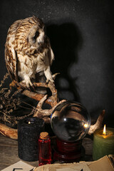 Witch's magic attributes with owl, crystal ball of fortune teller and candles on dark table