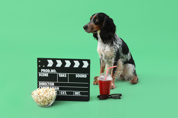 Cute cocker spaniel dog with bowl of popcorn, soda, clapperboard and 3D glasses sitting on green...