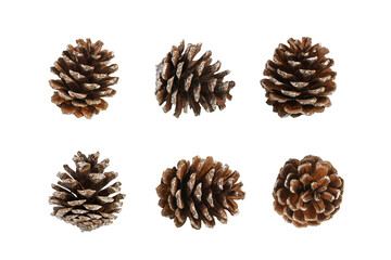 Pine cone isolated over white, transparent background, PNG. Set of multiple different angles of...