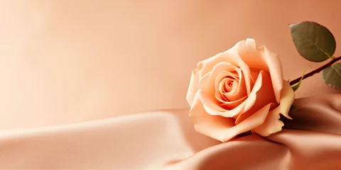 Foto auf Acrylglas A single rose sitting on a satin surface. Monochrome peach fuzz background. © tilialucida