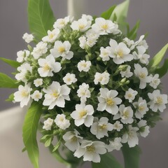 camilla buds camilia flowers gentle flower bunch generative ai