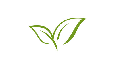 green sprout in the form of a plant