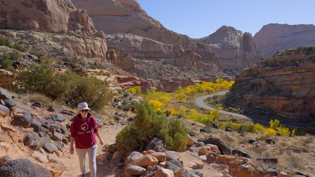 Establishing shot of female tourist at mountains in Hickman Natural Bridge Trail, Capital Reef National Park, Utah, North America. ProRes 422 HQ.